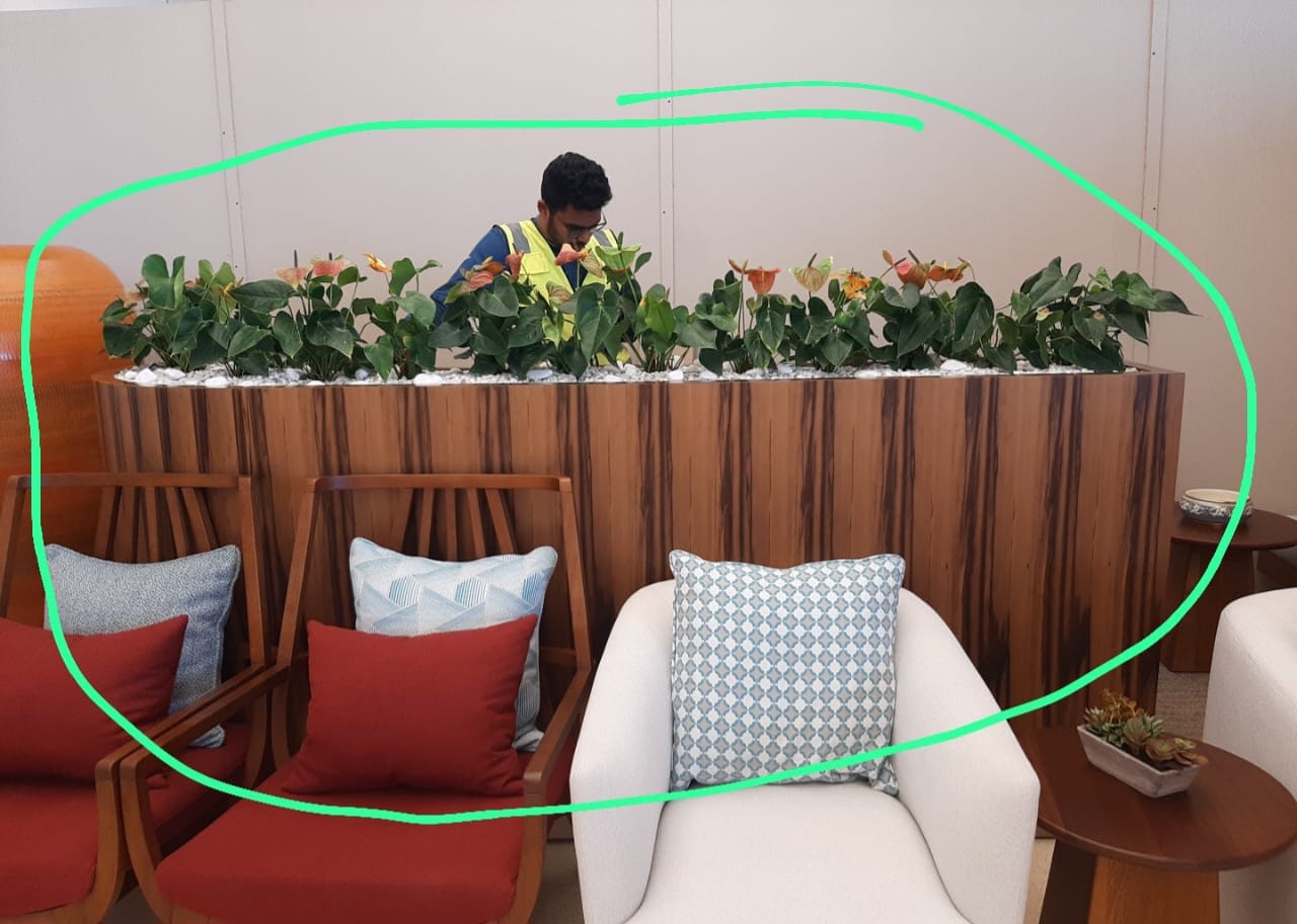 Novaroots Project 62